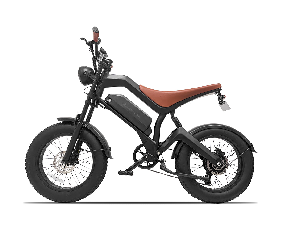 E-BIKE USA – Avalon Versatile Urban Explorer Fat Tire Electric Bike