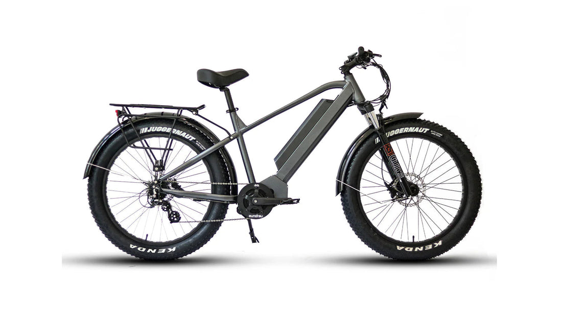 Side profile view of a dark gray Eunorau FAT-HD electric bike against a solid white background.
