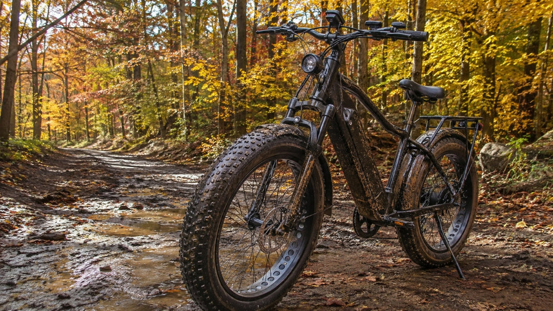  A fat tire off-road electric bike on a muddy forest trail.