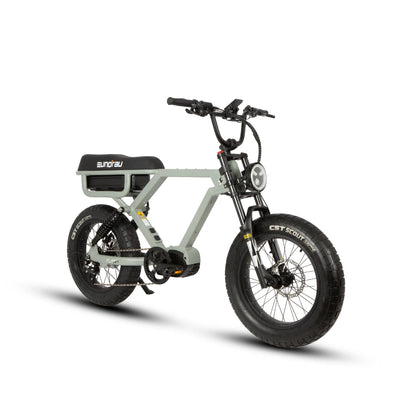 Eunorau FLASH 2.0 Powerful and Stable Mid-motor Long Range Electric Bike