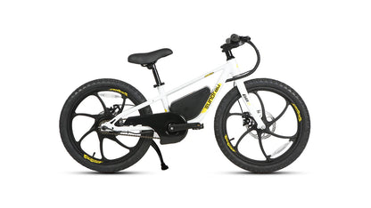 Eunorau EKIDS20 1.0 Flexible Speed Dual-Disc Brake Kids eBike
