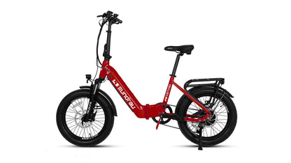 Eunorau META20 1.0 Dual Battery Extended Range Hub Motor Electric Bike