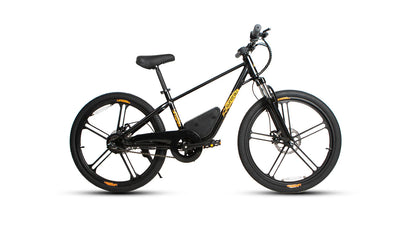 Eunorau EKIDS24 1.0 250W Kids Dual Disc Brakes & Smooth Suspension Electric Bike
