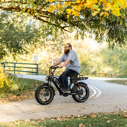 Maverick eBike