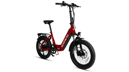 Eunorau META20 1.0 Dual Battery Extended Range Hub Motor Electric Bike