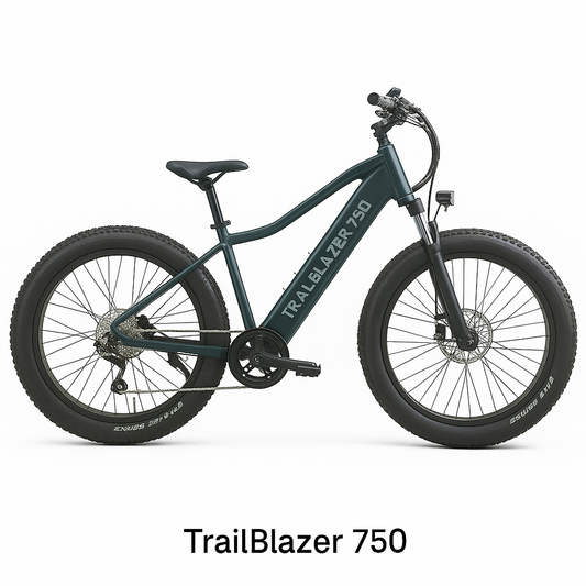 TrailBlazer 750 Adventure E-Bike