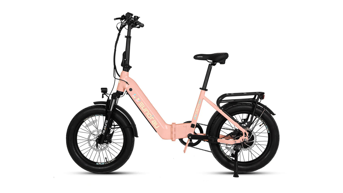 Eunorau META20 1.0 Dual Battery Extended Range Hub Motor Electric Bike