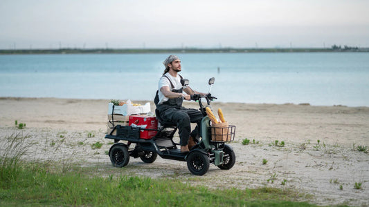 Eunorau S1000 Utility Vehicle Heavy-Duty Adult Electric Quad Bike