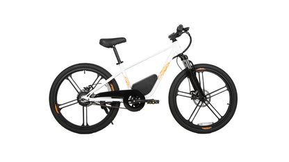 Eunorau EKIDS24 1.0 250W Kids Dual Disc Brakes & Smooth Suspension Electric Bike