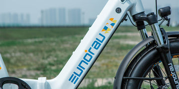 Eunorau META20 1.0 Dual Battery Extended Range Hub Motor Electric Bike