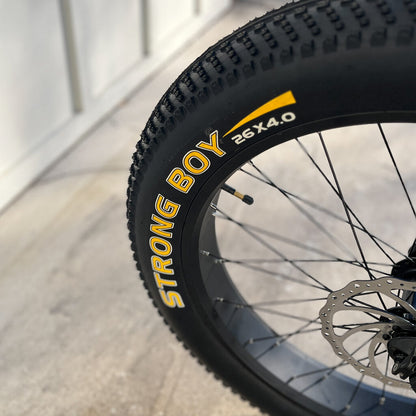 E-BIKE USA – Aggressor M All-Terrain Step-Over Fat Tire Electric Bike with Plush Suspension