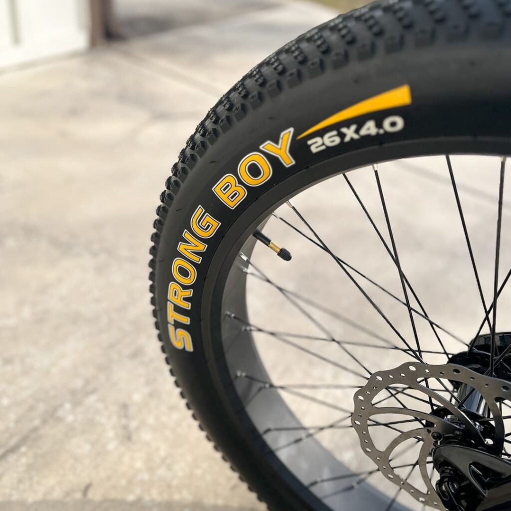 E-BIKE USA – Aggressor F Dual Suspension All-Terrain Step-Thru Fat Tire E-Bike