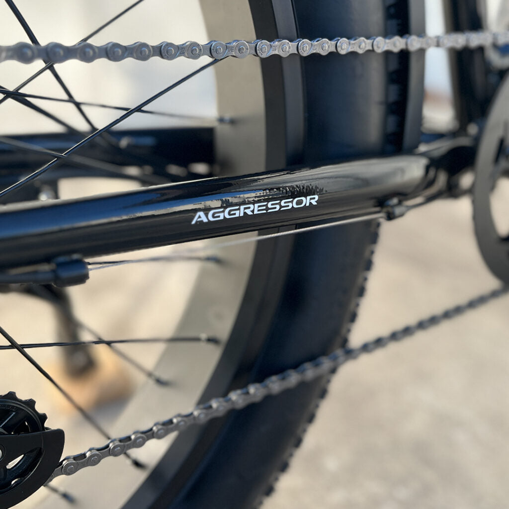 E-BIKE USA – Aggressor M All-Terrain Step-Over Fat Tire Electric Bike with Plush Suspension