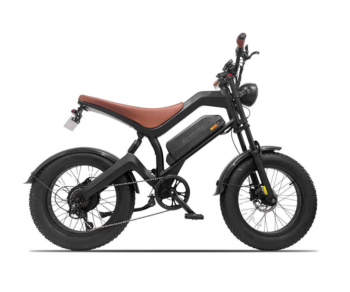 E-BIKE USA – Avalon Versatile Urban Explorer Fat Tire Electric Bike