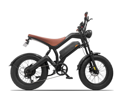 E-BIKE USA – Avalon Versatile Urban Explorer Fat Tire Electric Bike