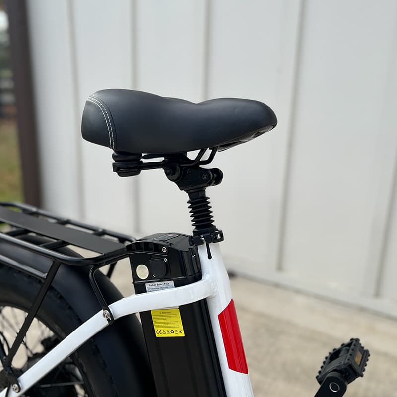 E-BIKE USA – Motivator Low Step-Thru City and Suburban Commuter E-Bike