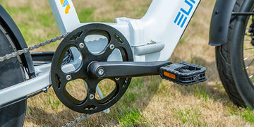 Eunorau META20 1.0 Dual Battery Extended Range Hub Motor Electric Bike